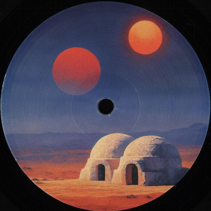 Transient States. Feedback — vinyl artwork